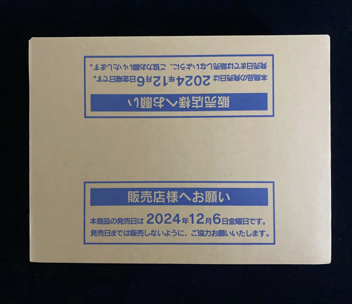 2024 Pokemon TCG JPN Terastal Festival MEGA EX SV8a Sealed Case 20 Box