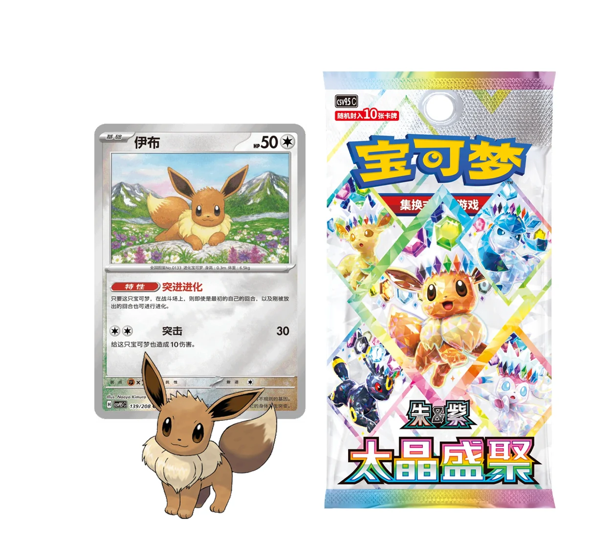 Presale Pokemon TCG Terastal Gathering Coin Set - Eevee Box [Sealed]