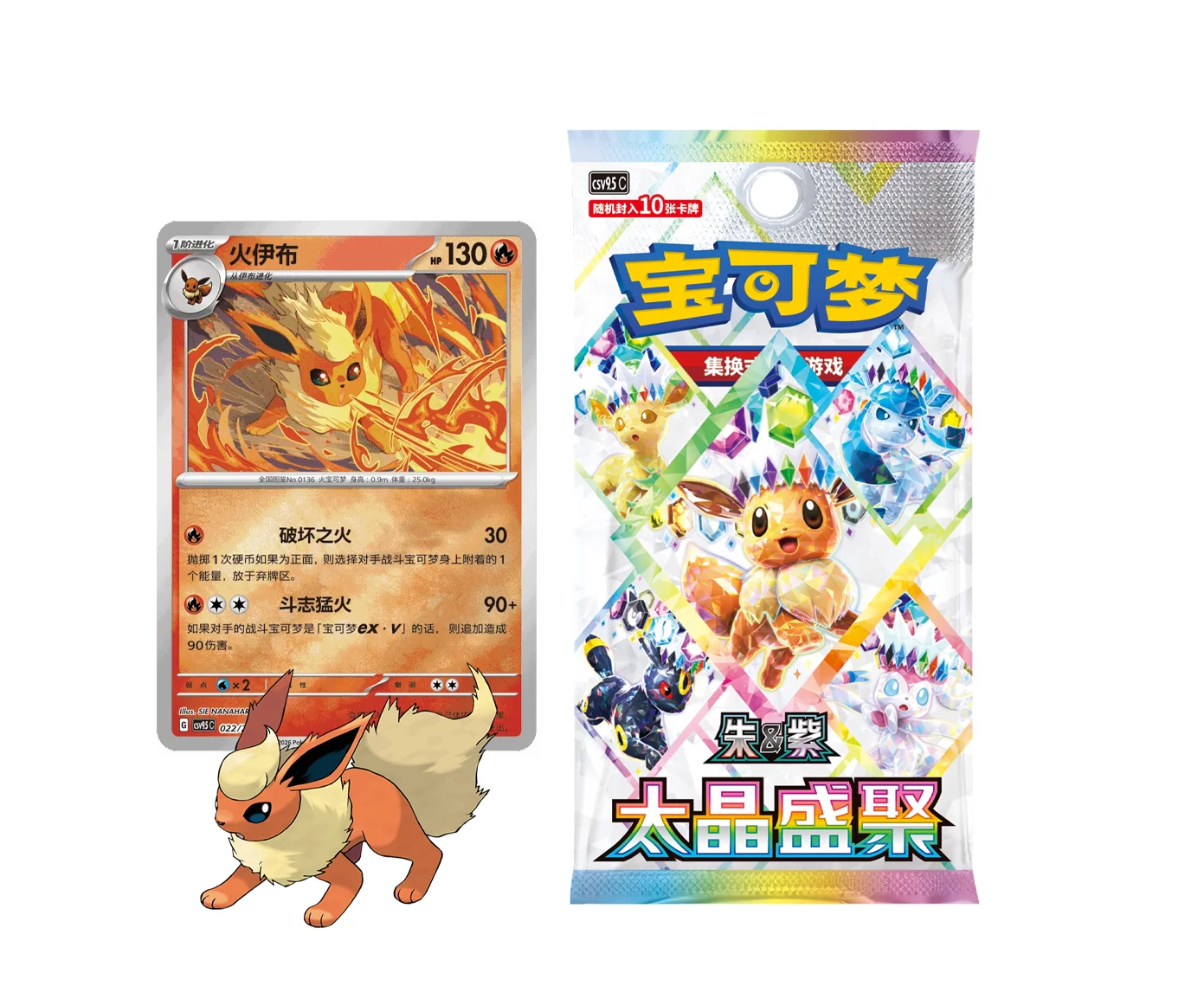Presale Pokemon TCG Terastal Gathering Coin Set - Flareon Box [Sealed]