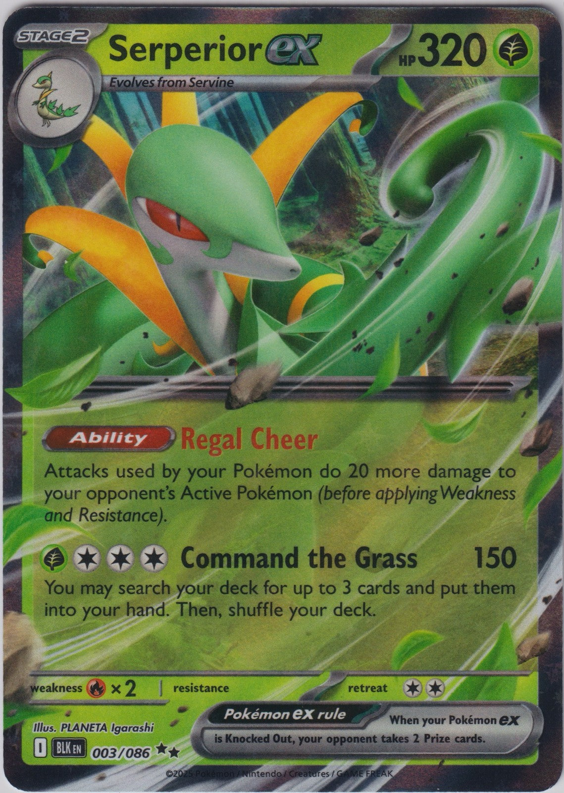 Serperior ex 003/086 SV Black Bolt Pokemon TCG English Card NM